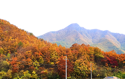 삼태산농촌체험휴양마을